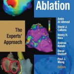 Hands-On Ablation: The Experts’ Approach