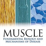 Muscle: Fundamental Biology and Mechanisms of Disease, 2-Volume Set, 1st Edition