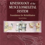 Kinesiology of the Musculoskeletal System: Foundations for Rehabilitation, 2nd Edition