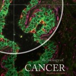 The Biology of Cancer
