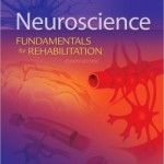 Neuroscience: Fundamentals for Rehabilitation Edition 4