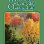 The Meaning of Everyday Occupation Edition 2