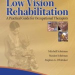 Low Vision Rehabilitation: A Practical Guide for Occupational Therapists