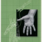 Atlas of Electromyography
