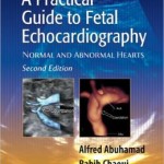 A Practical Guide to Fetal Echocardiography: Normal and Abnormal Hearts
                    / Edition 2