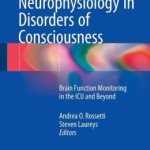 Clinical Neurophysiology in Disorders of Consciousness: Brain Function Monitoring in the ICU and Beyond