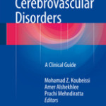 Seizures in Cerebrovascular Disorders
