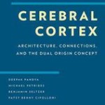 Cerebral Cortex  :  Architecture, Connections, and the Dual Origin Concept