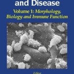 The Blood-Brain Barrier in Health and Disease, Volume One  :  Morphology, Biology and Immune Function