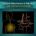 Clinical Mechanics in The Gut: An Introduction