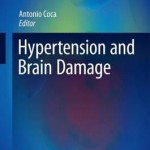 Hypertension and Brain Damage 2016