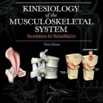 Kinesiology of the Musculoskeletal System : Foundations for Rehabilitation, 3rd Edition