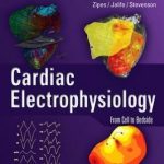 Cardiac Electrophysiology: From Cell to Bedside