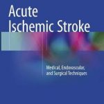 Acute Ischemic Stroke : Medical, Endovascular, and Surgical Techniques