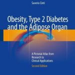 Obesity, Type 2 Diabetes and the Adipose Organ : A Pictorial Atlas from Research to Clinical Applications