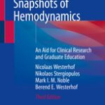 Snapshots of Hemodynamics