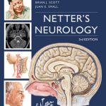Netter’s Neurology E-Book