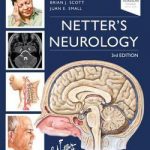 Netter’s Neurology