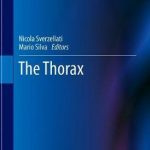 The Thorax