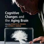 Cognitive Changes and the Aging Brain