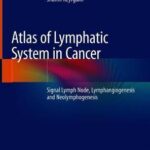 Atlas of Lymphatic System in Cancer : Sentinel Lymph Node, Lymphangiogenesis and Neolymphogenesis