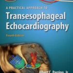 A Practical Approach to Transesophageal Echocardiography